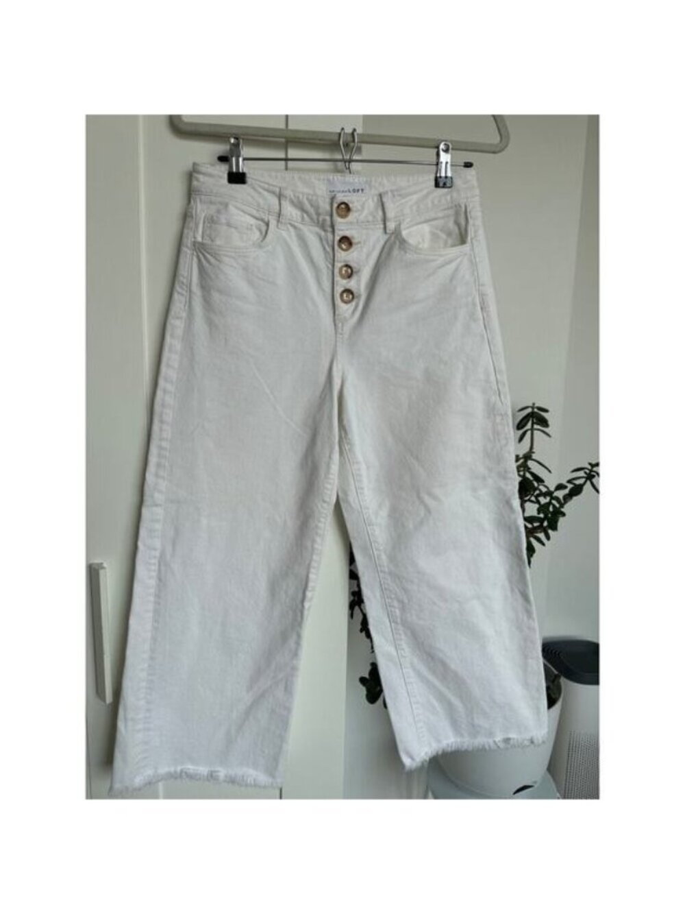 Ann Taylor Loft High Waist Wide Leg in Color Popcorn, NWOT 27P/ 4
